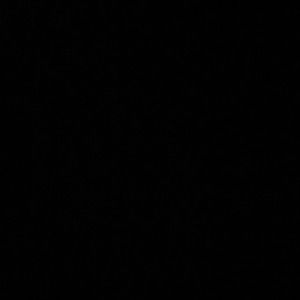 Meet your Posher, Sebastian